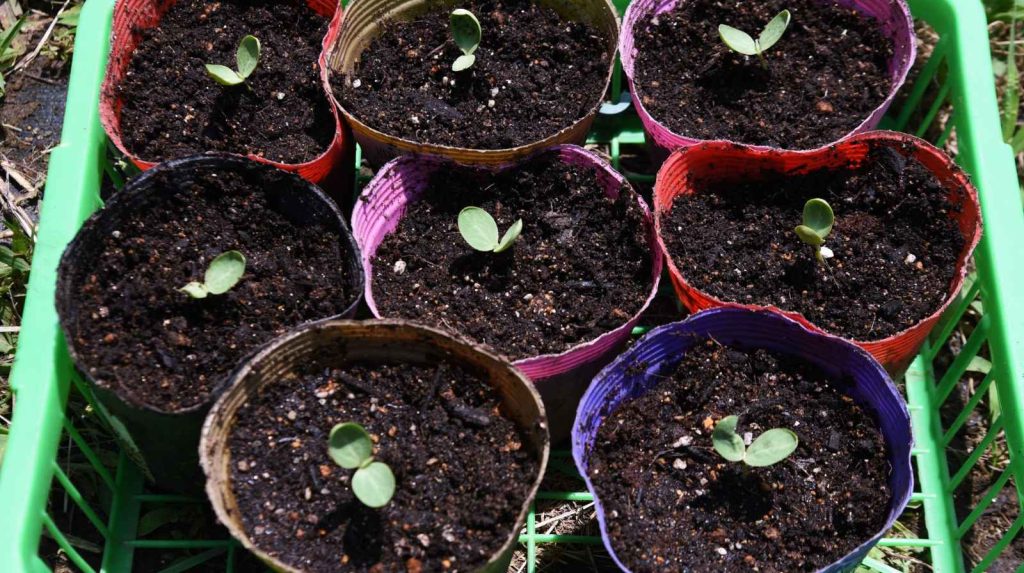 מוצרים לבית ולגינה