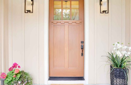 דלתות כניסה2