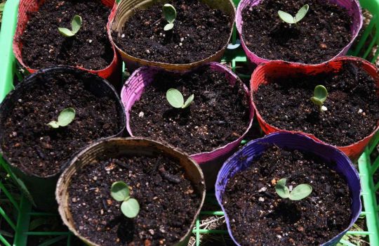 מוצרים לבית ולגינה2